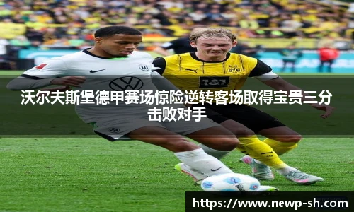 中欧体育