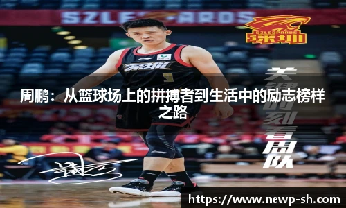 zoty中欧体育