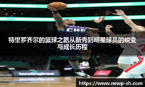 中欧体育